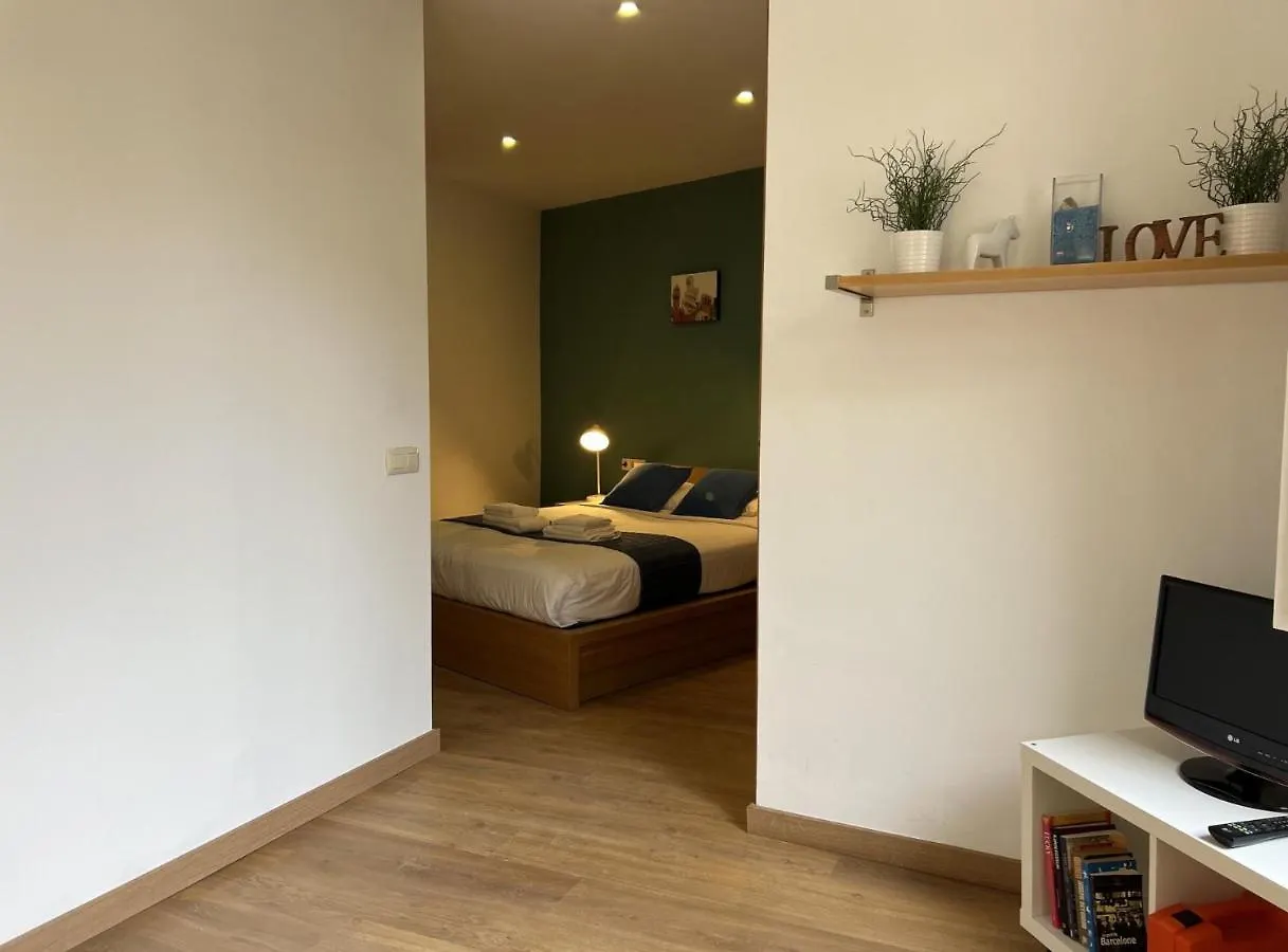 Ripoll Apartments Barcelona Испания